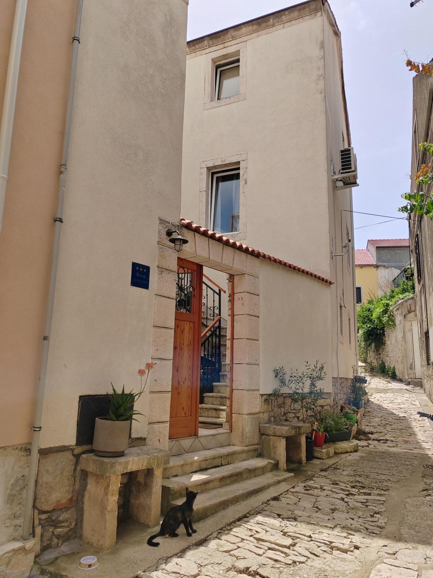 Apartments Ani Vela Luka Exterior photo